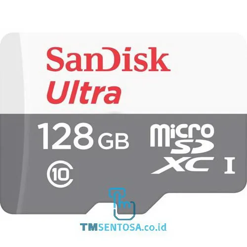 Ultra MicroSDXC 128GB Class 10 SDSQUNS-128G-GN6MN
