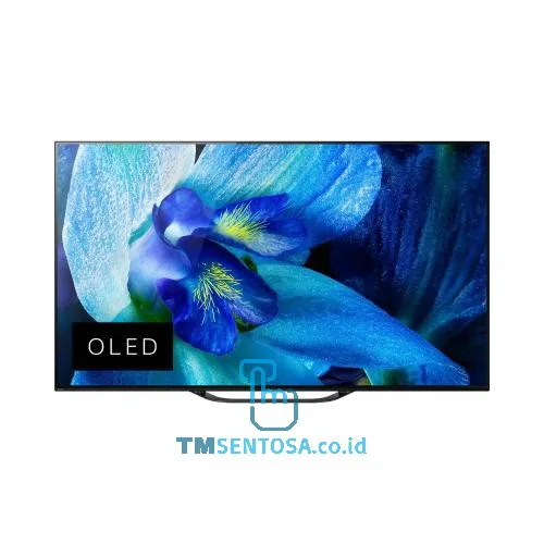 55 Inch OLED Smart TV UHD KD-55A8G