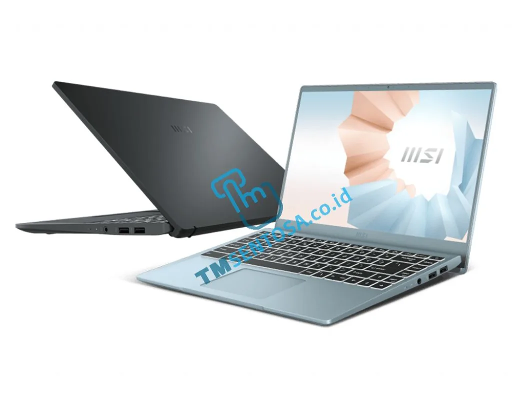 MODERN 14 B10RBSW [i5-10210U, 8GB, 512GB, MX350, WIN10] 9S7-14D114-277