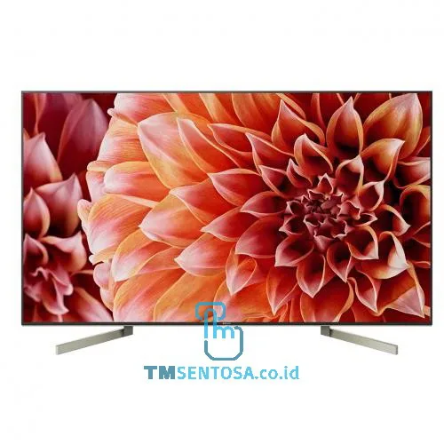 65 Inch Android TV UHD KD-65X9000F