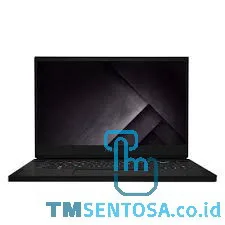 GS66 10SE (I7-10750H, 16GB, 1TB, NVIDIA 6GB, WIN10H, 15.6IN) 9S7-16V112-255