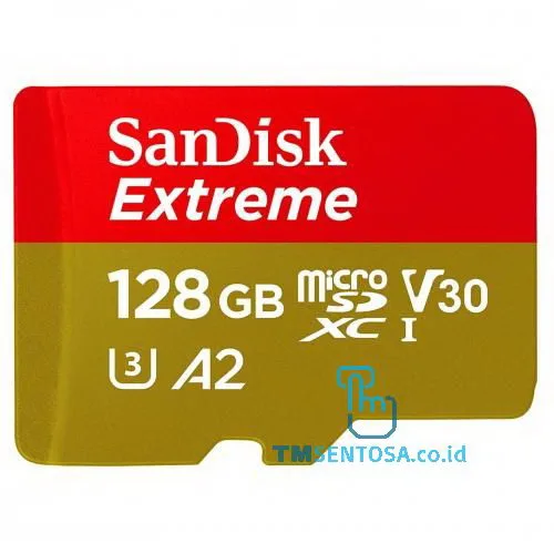 MicroSDXC Extreme 128GB [SDSQXA1-128G-GN6MN]