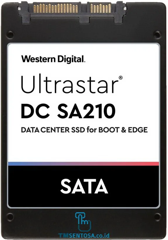 ULTRASTAR DC SA210 M.2-2280 7.0MM 480GB [0TS1655]