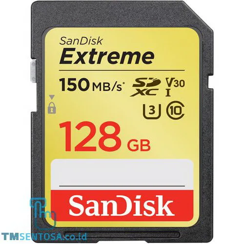 Extreme SDXC, SDXV5 128GB [SDSDXV5-128G-GNCIN]
