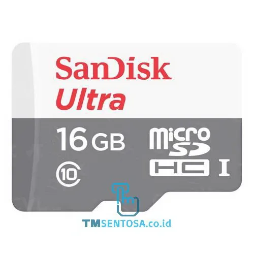 Ultra microSDH 16GB Class 10 SDSQUNS-016G-GN3MN
