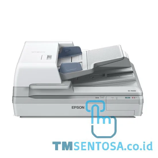 SCANNER WORKFORCE DS-70000 [B11B204341]