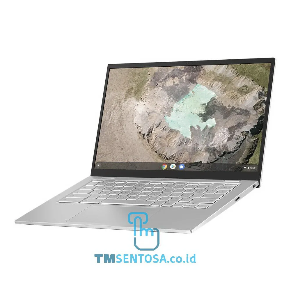 C425TA-H53464 (Intel Core m3-8100Y, 4GB, 64GB, Chorme OS, 14IN)