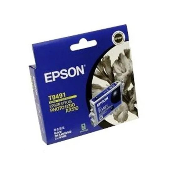 Black Ink Cartridge 49N (T0491)