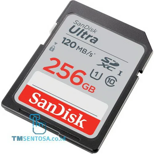 Ultra SDXC, SDUN4 256GB [SDSDUN4-256G-GN6IN]