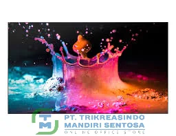 VIDEO WALL 55 INCH [UD55E-B]
