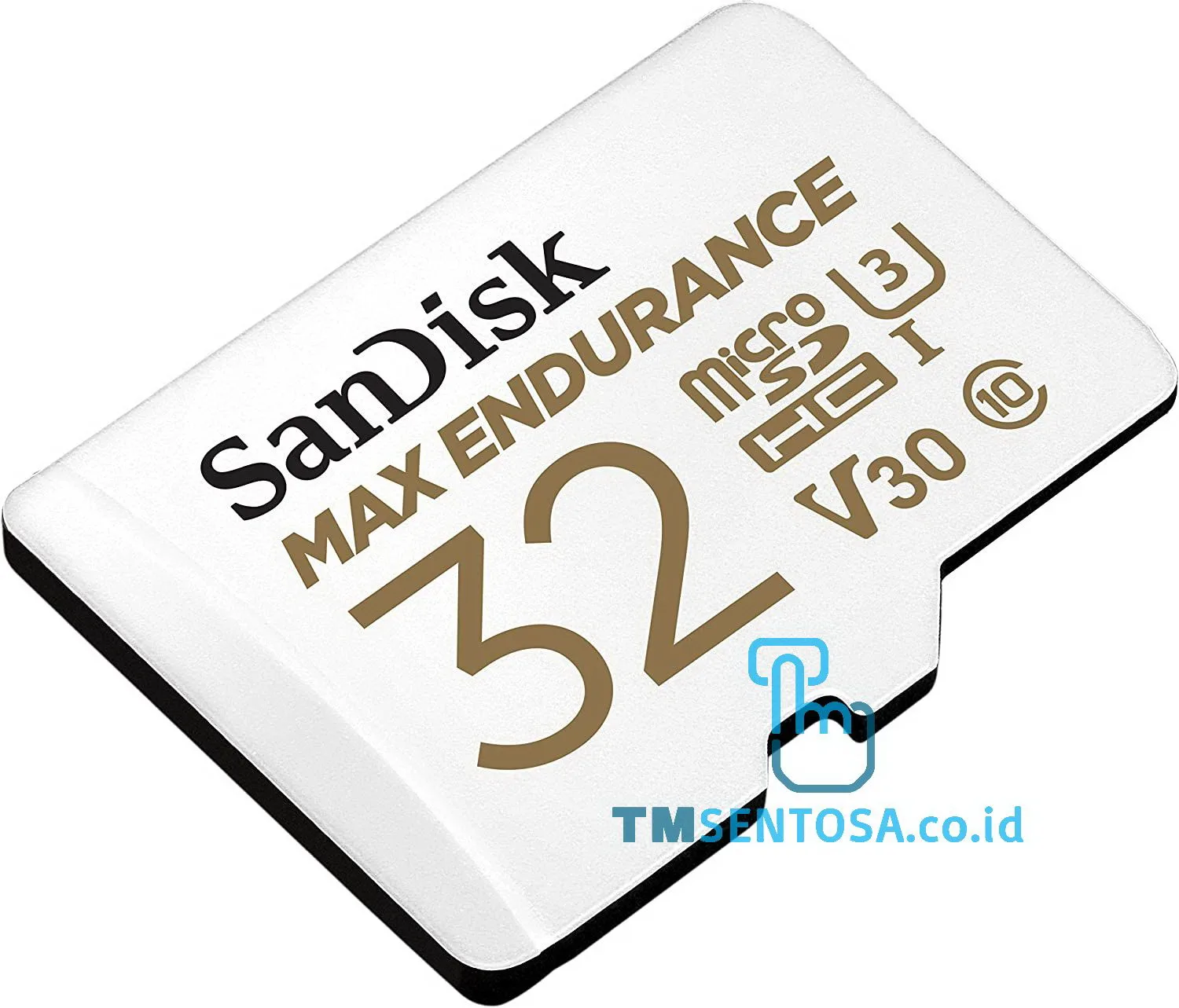 Micro SD Max Endurance 32GB SDSQQNR-032G-GN6IA