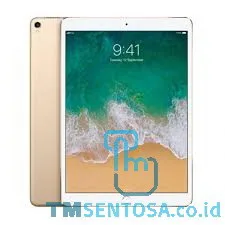 IPAD PRO WIFI + CELL 256GB 10.5' GOLD [MPHJ2PA/A]