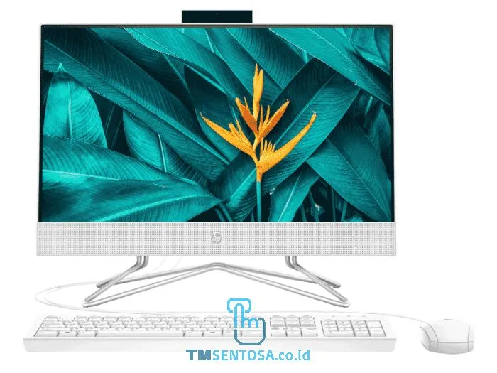 AIO 22-DF0145D [J4025, 4GB, 1TB, 21,5 inch, WIN10]