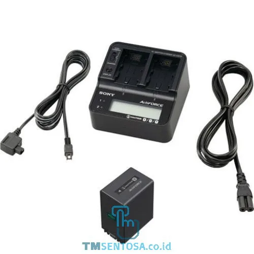 Charger and Battery Kit ACC-V1BPA