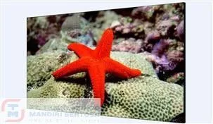 Video Wall 55-INCH LCD DISPLAY [DS-D2055NL-B/G]