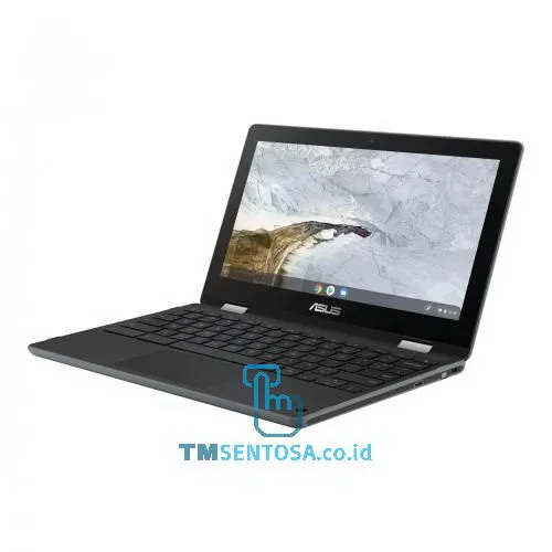 C214MA-BW1430 (Celeron N4000, 4GB, 32GB eMMC, 11.6IN)